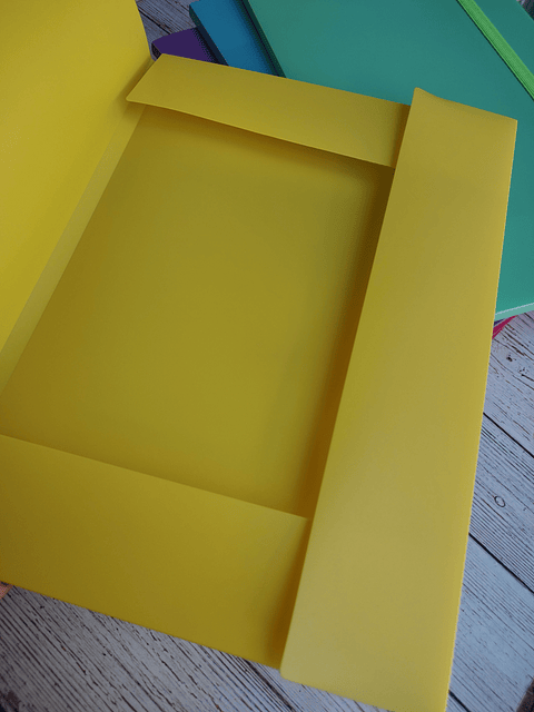 Carpeta plástica A4 DataZone