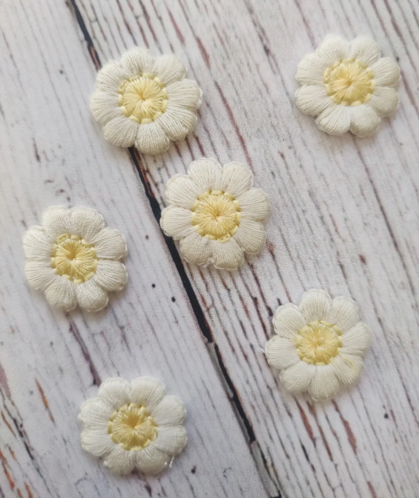 Aplicación Flor Silvestre 2