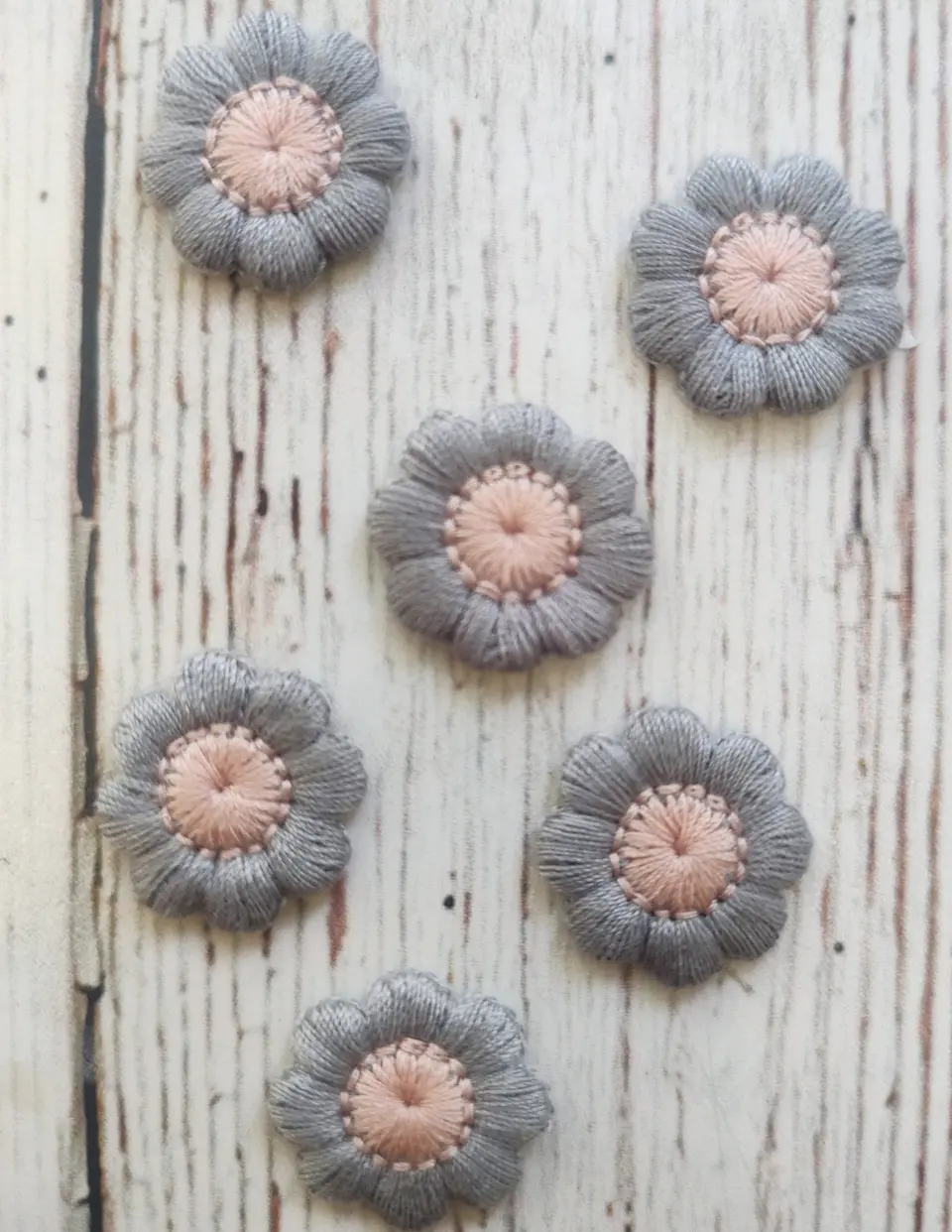 Aplicación Flor Silvestre 4