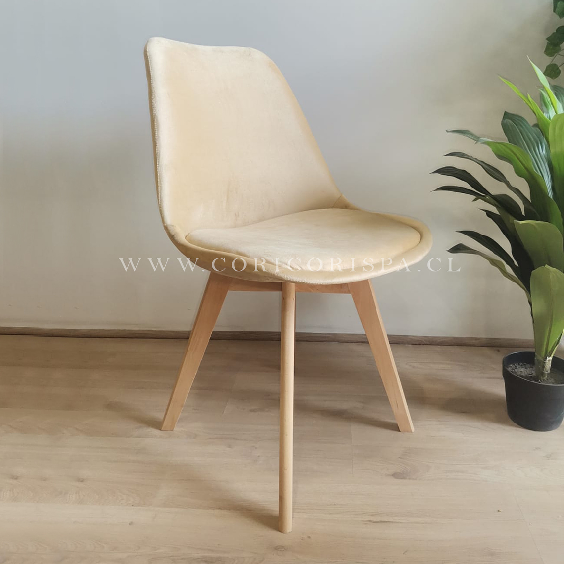 Silla Tulip Velvet 1