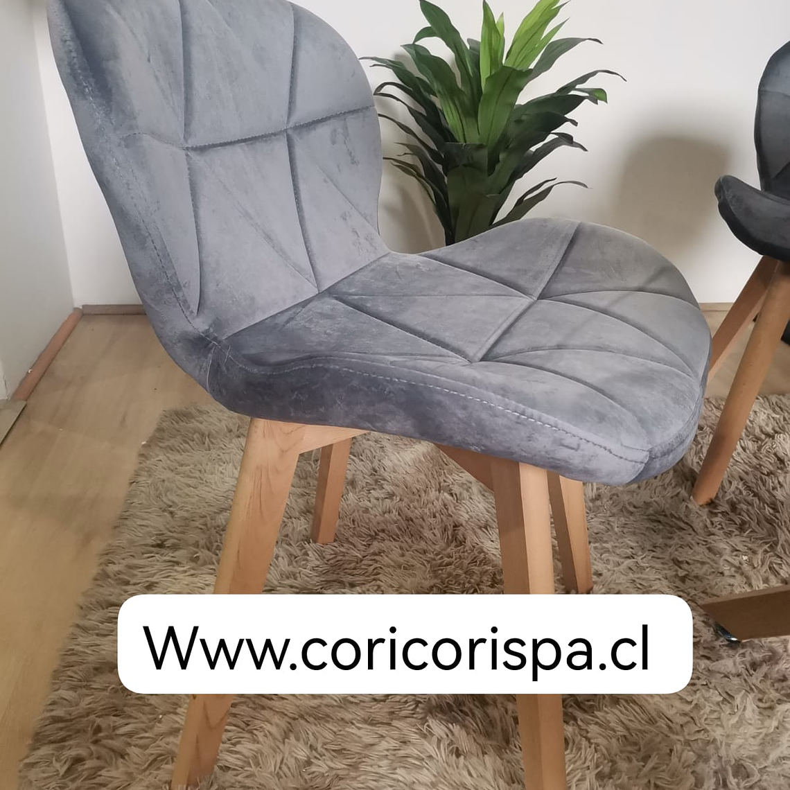 Comedor Mesa Cuadrada 80x80cms  + 4 Sillas Mariposa Velvet 9