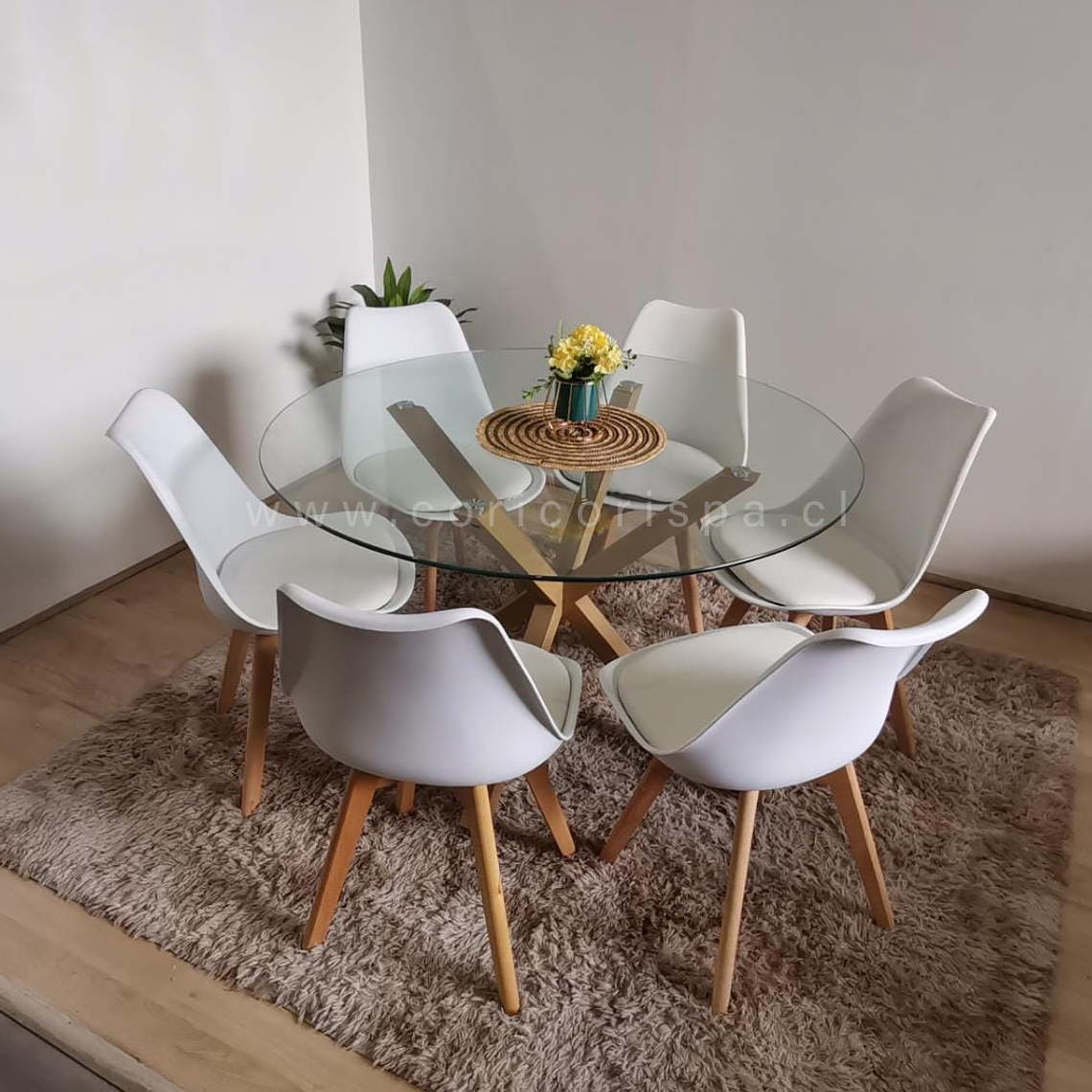 Comedor Warwick 120cm + 6 Sillas Tulip 2