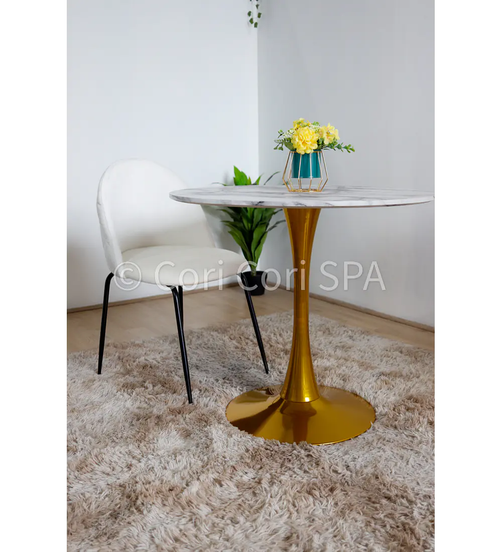 2da Seleccion.- Silla Black Velvet
