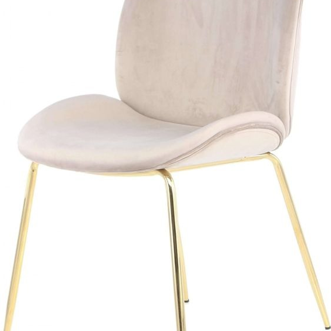 Silla Beetle Gold 5