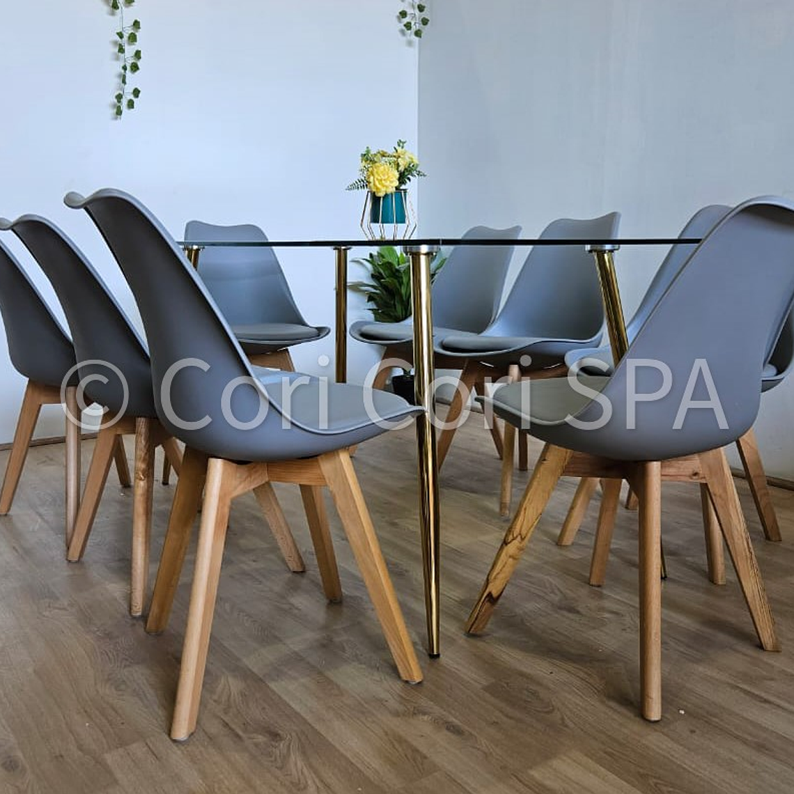 Comedor Rubi Gold 160x80cms  + 8 Sillas Tulip 26