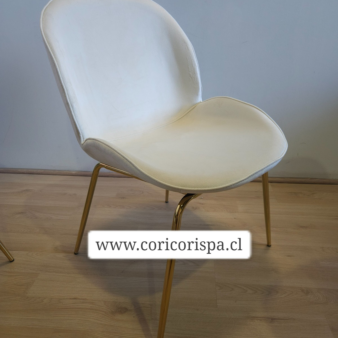 Silla Beetle Gold 10