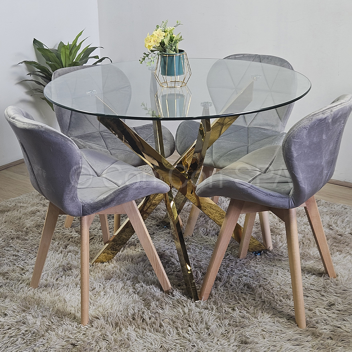 Comedor Mesa Warwick Gold 100cm + 4 Sillas Mariposa Velvet 1
