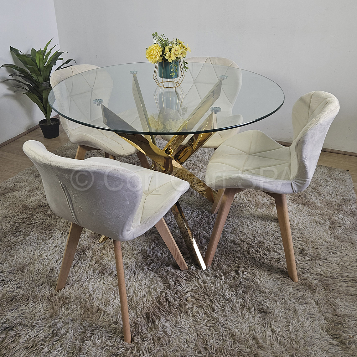Comedor Mesa Warwick Gold 120cm + 4 Sillas Mariposa Velvet 1
