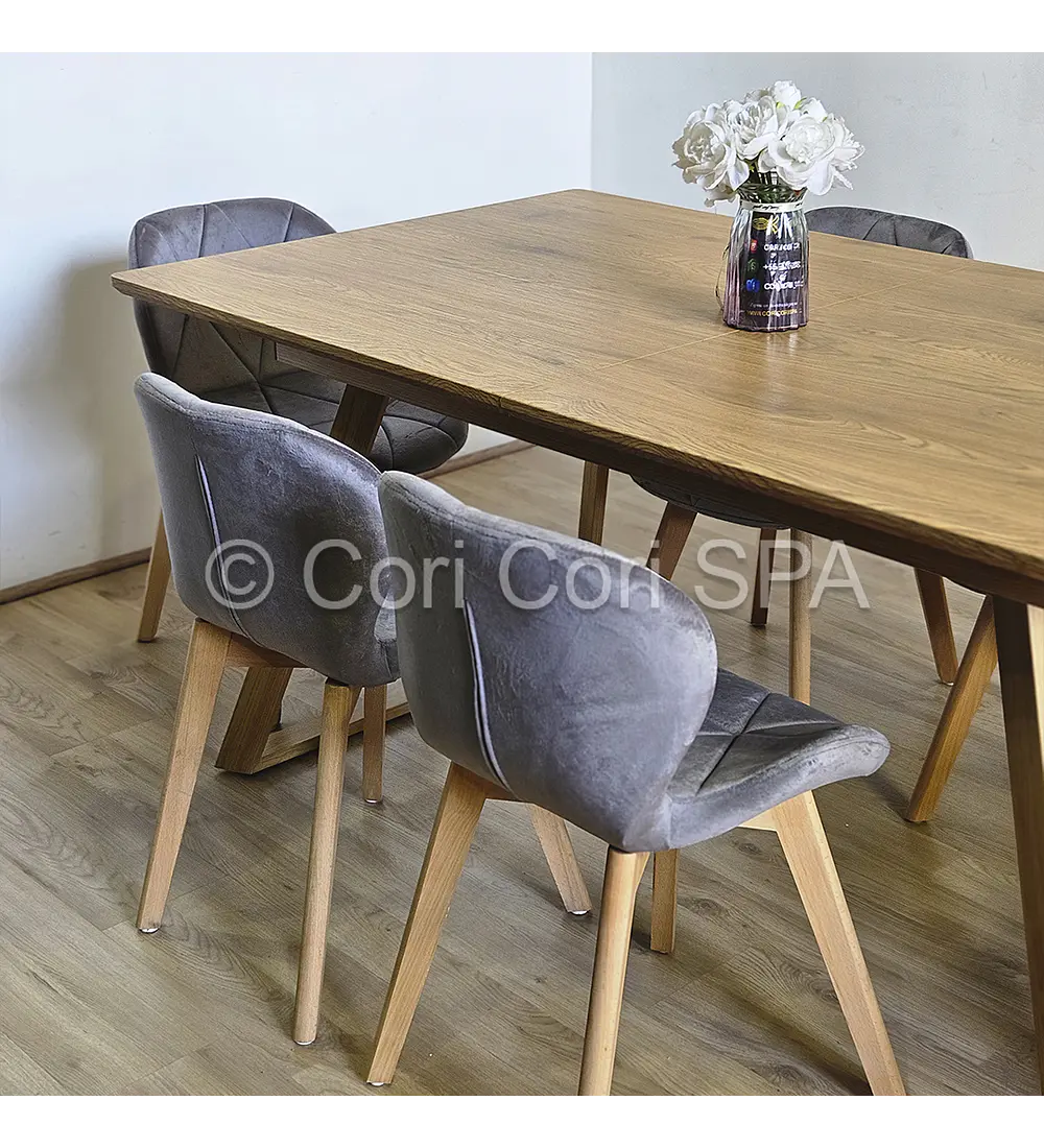 Comedor Mesa Expandible Rectangular + 4 Sillas Mariposas Velvet 