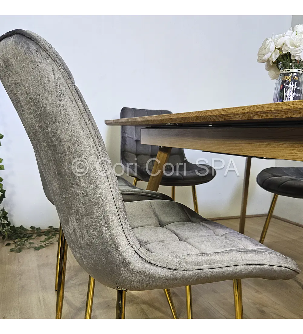 Comedor Mesa Rectangular Expandible 160x90cms + 4 Sillas Capitonne Top Gold