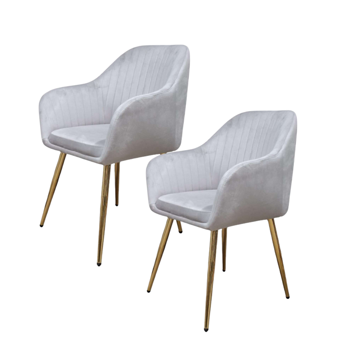 Pack 2 Sitial Nevada 11