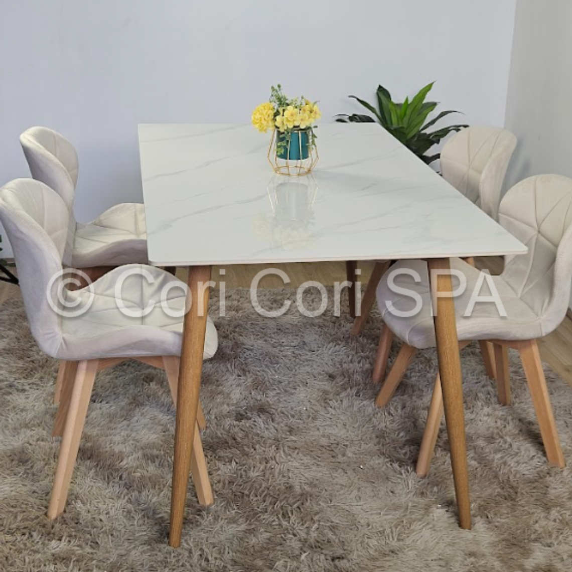 Comedor Mármol 160x90cm  + 4 Sillas Mariposa Velvet 4
