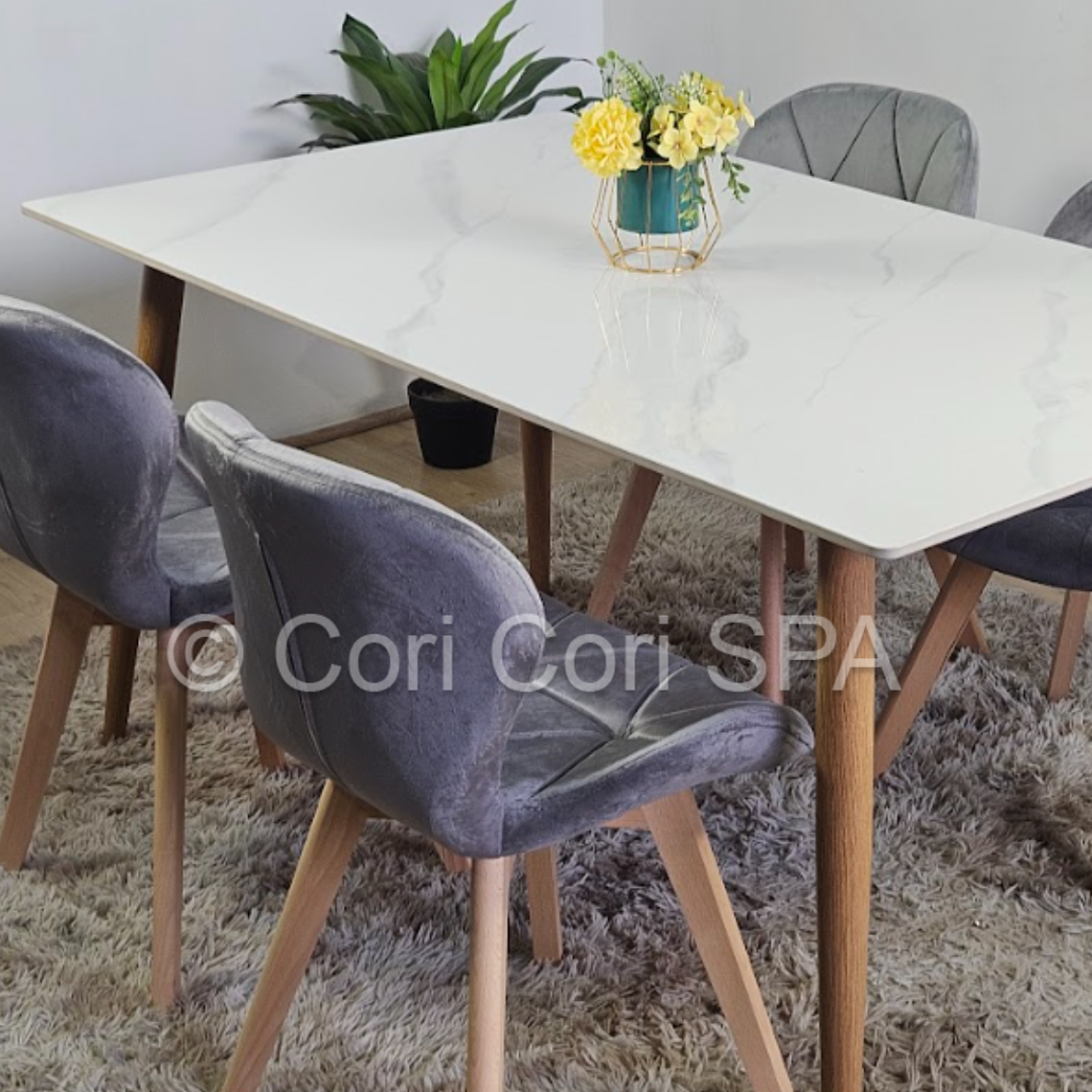 Comedor Mármol 120x80cm  + 4 Sillas Mariposa Velvet 6