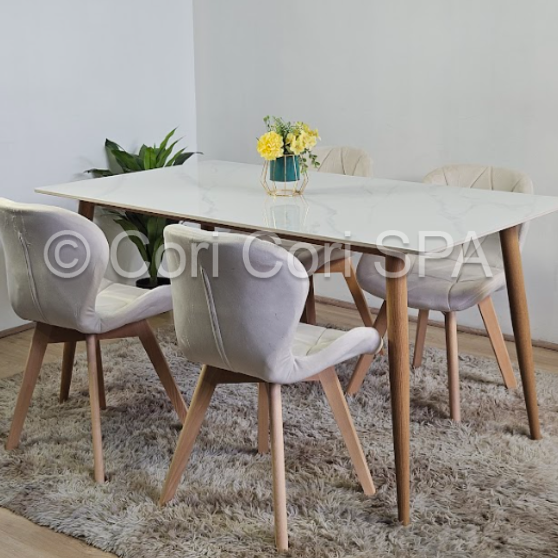 Comedor Mármol 120x80cm  + 4 Sillas Mariposa Velvet 13