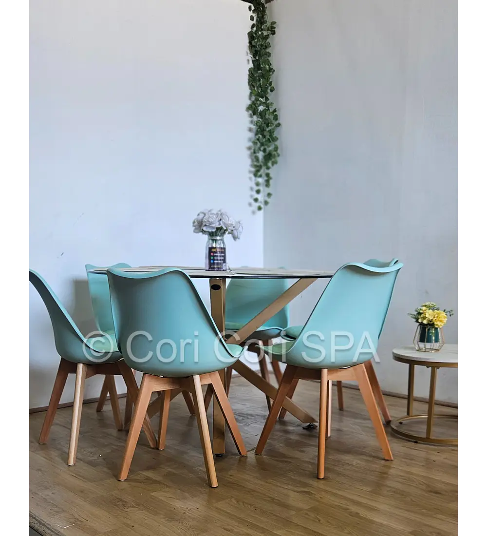 Comedor Warwick 120cm + 6 Sillas Tulip