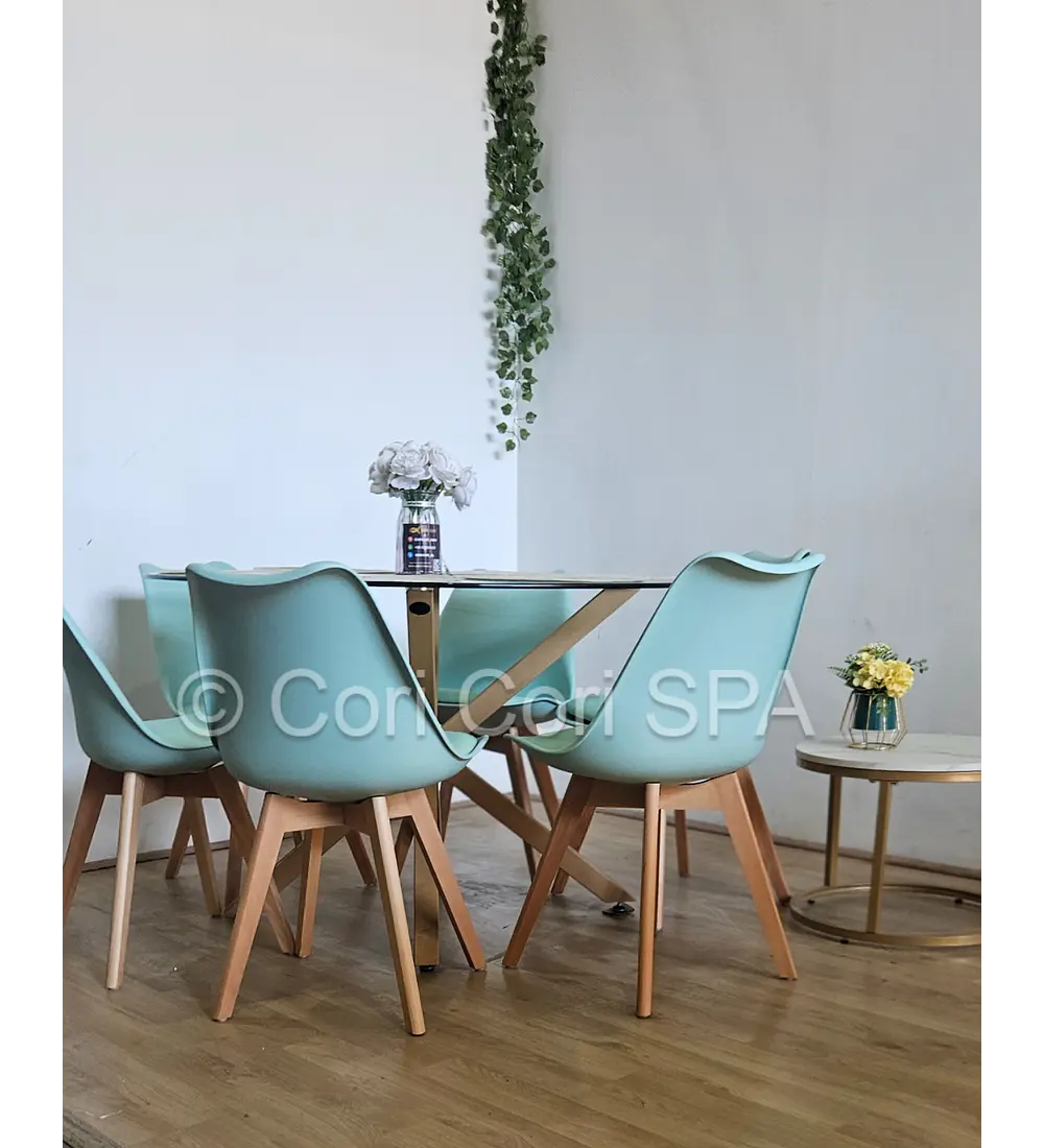 Comedor Warwick 120cm + 6 Sillas Tulip