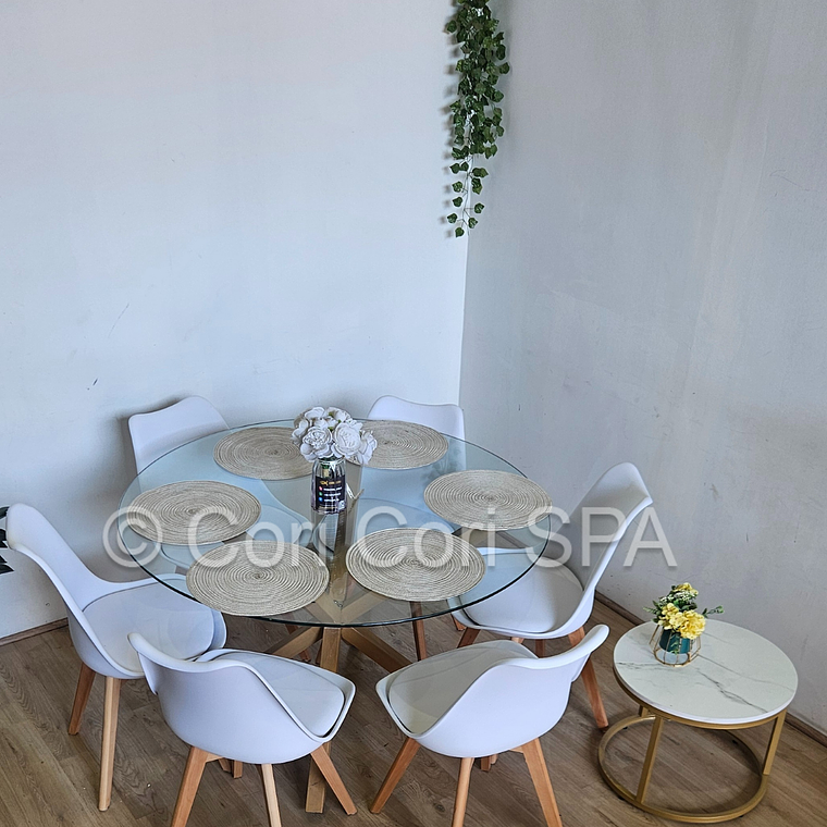 Comedor Warwick 120cm + 6 Sillas Tulip 7