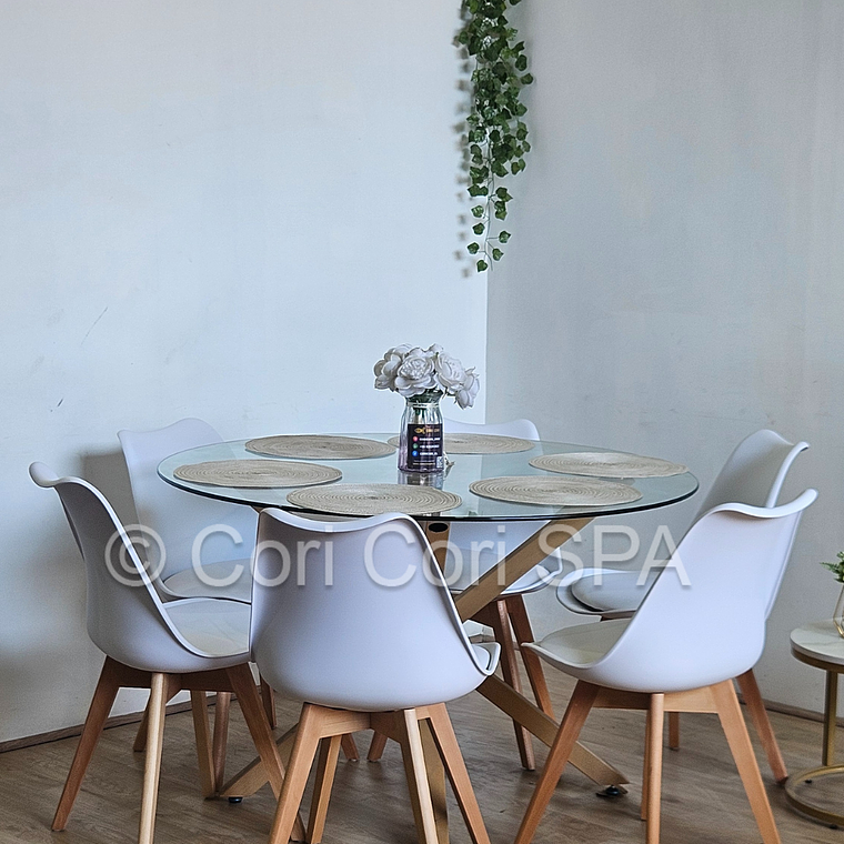 Comedor Warwick 120cm + 6 Sillas Tulip 17