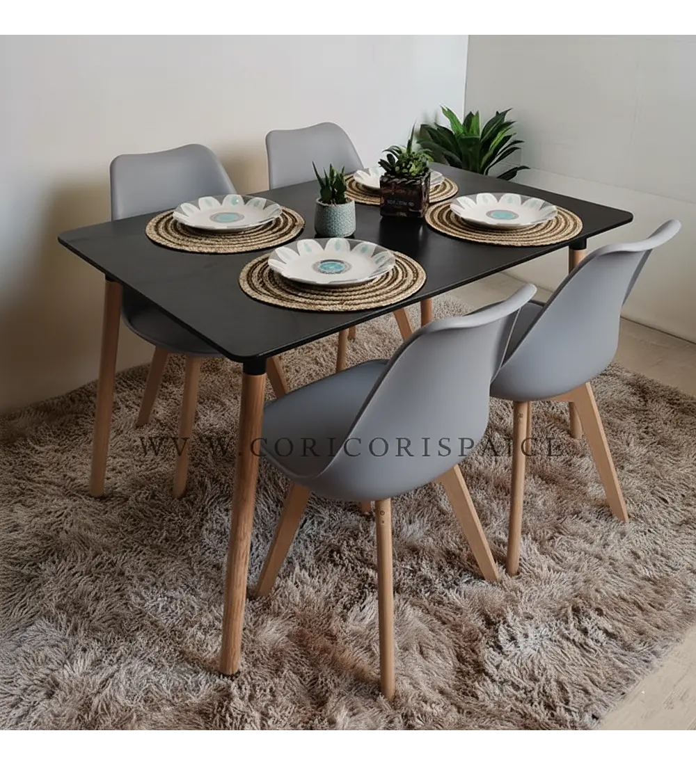 Comedor Mesa Rectangular Melamina 120x80cm + 4 Sillas Tulip