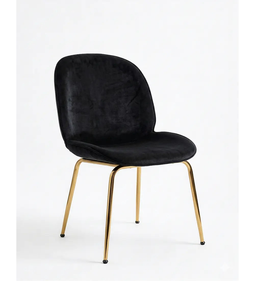Silla Beetle Gold