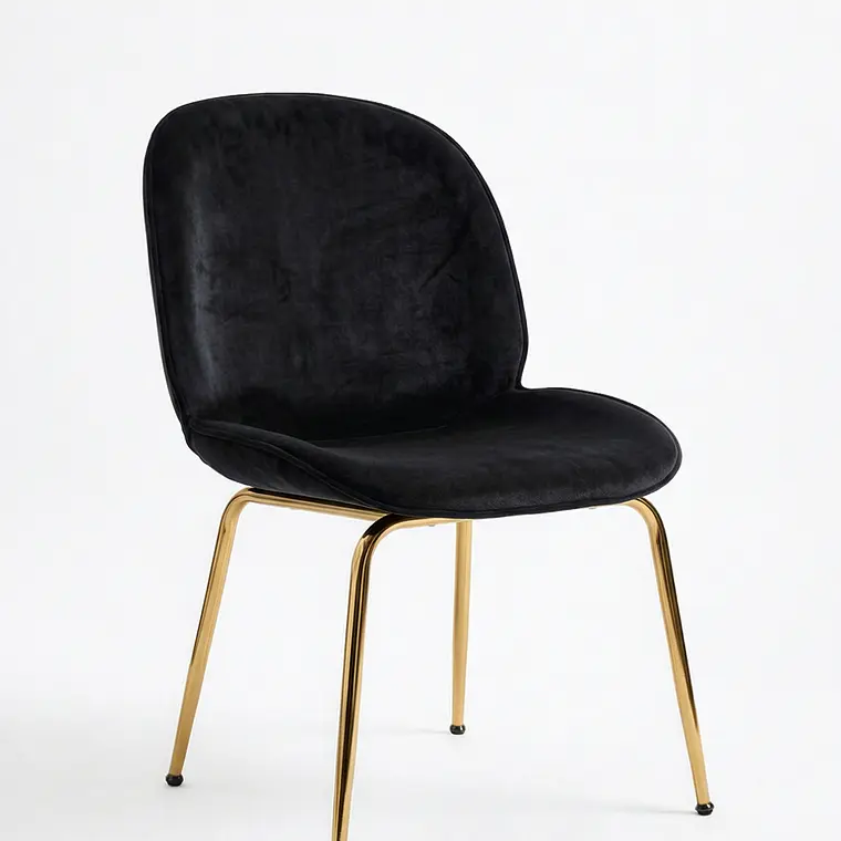 Silla Beetle Gold 10