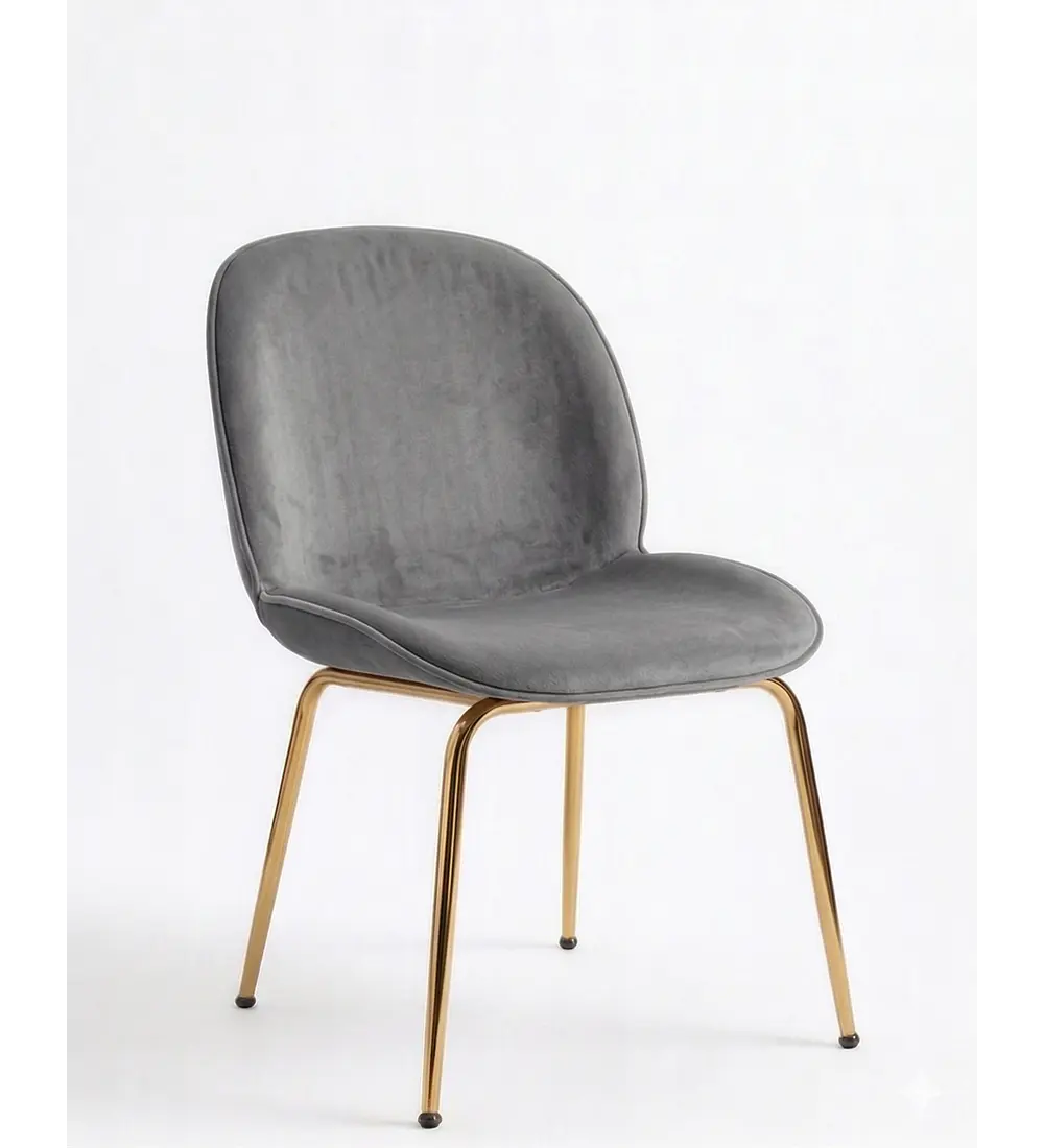 Silla Beetle Gold