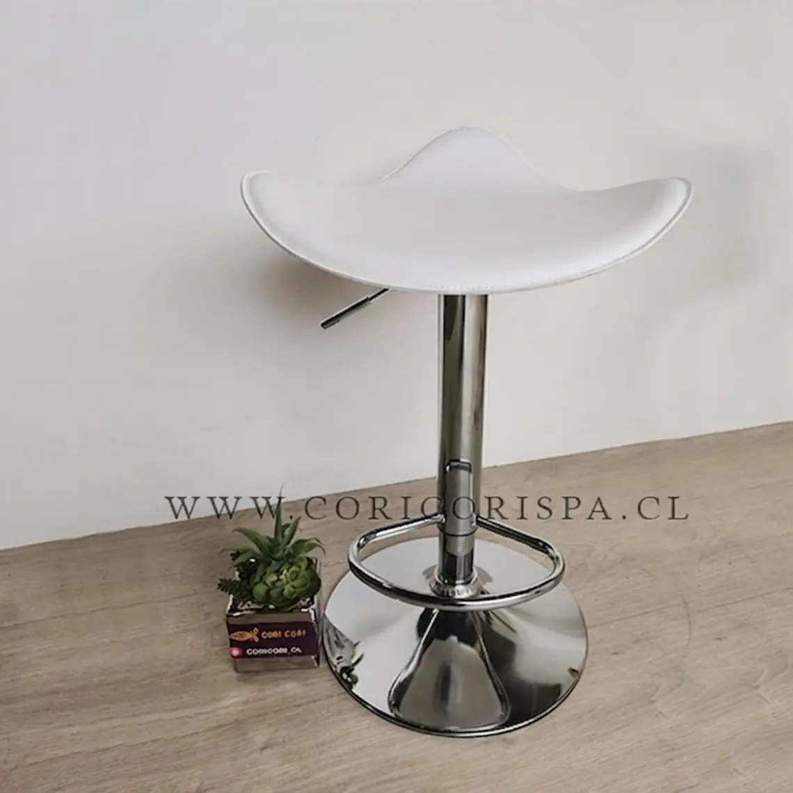 2da Seleccion Piso Bar 1