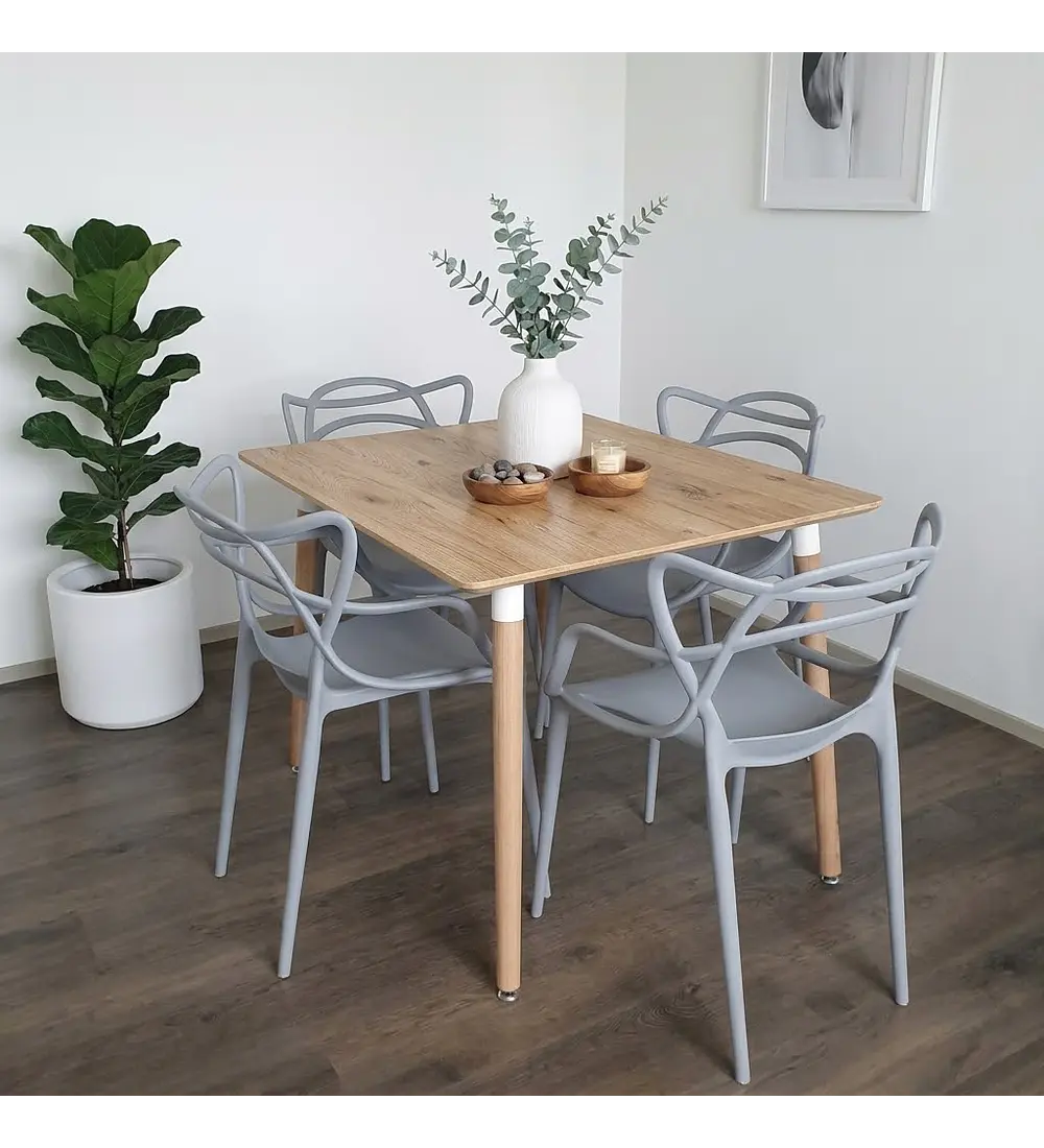 Comedor Mesa Melamina 120 x 80cms + 4 Sillas Master