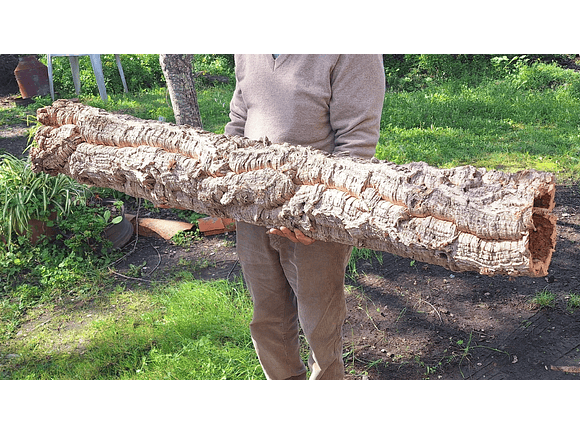 1 x XXL Cork Tube (100x20x20cm) 1