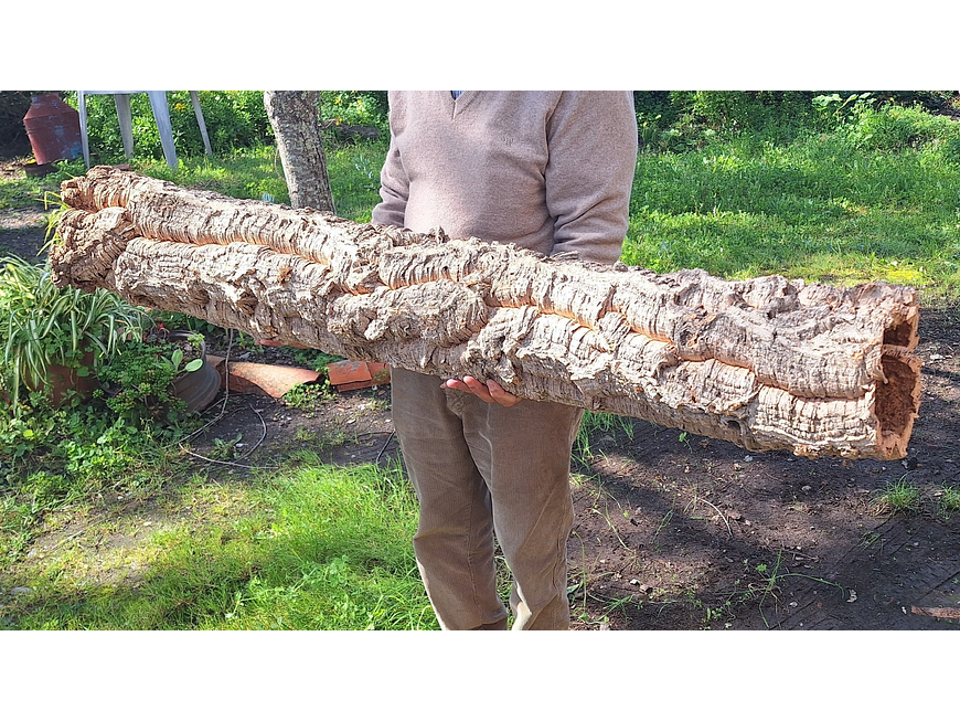 1 x XXL Cork Tube (100x20x20cm) 1