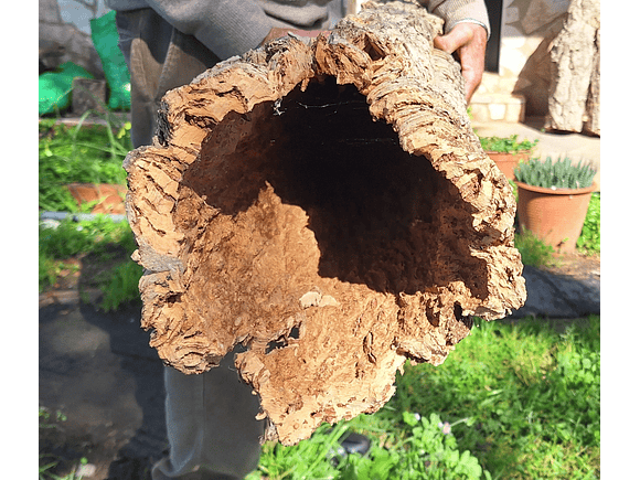 1 x XXL Cork Tube (100x20x20cm) 2