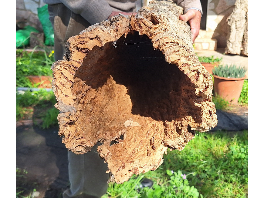 1 x XXL Cork Tube (100x20x20cm) 2