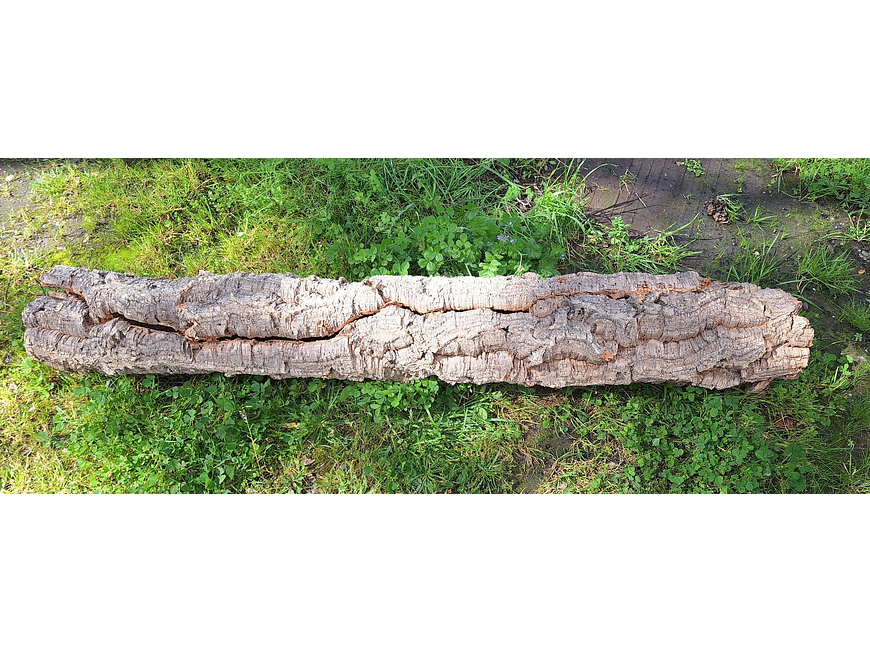 1 x XXL Cork Tube (100x20x20cm) 4