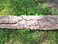 1 x XXL Cork Tube (100x20x20cm) - thumbnail 4