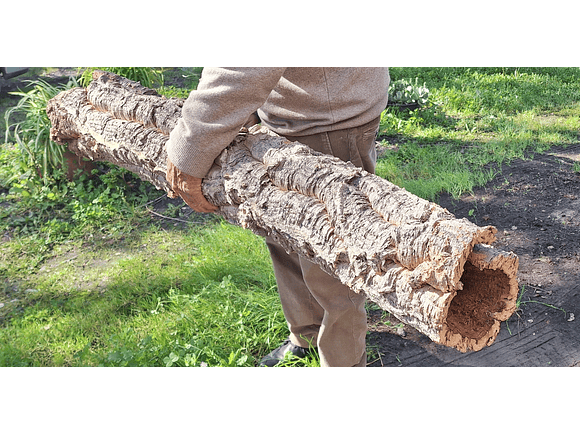 1 x XXL Cork Tube (100x20x20cm) 5