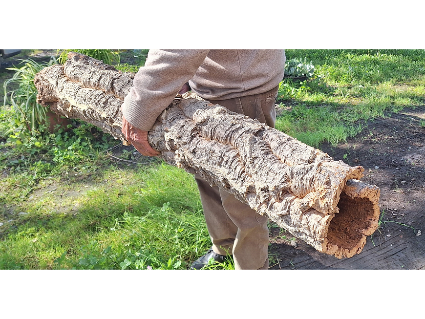 1 x XXL Cork Tube (100x20x20cm) 5