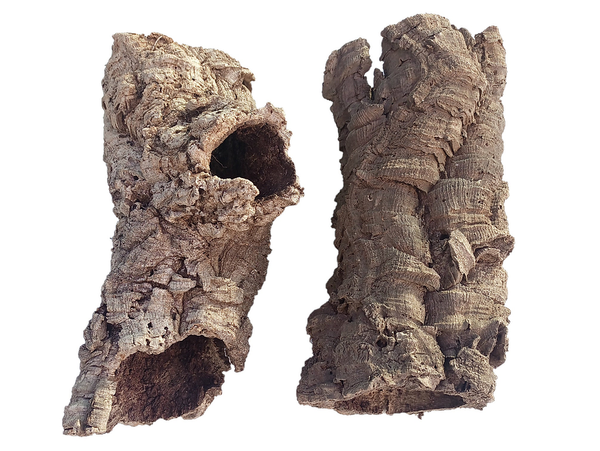 5x Cork Tubes (35x12x12cm) 1