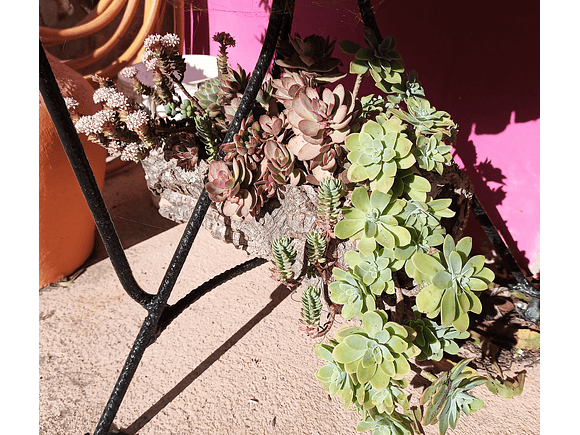 5x Cork Tubes (35x12x12cm) 3