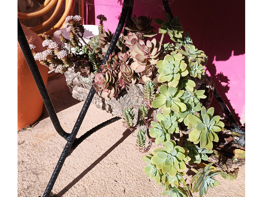 5x Cork Tubes (35x12x12cm) 3