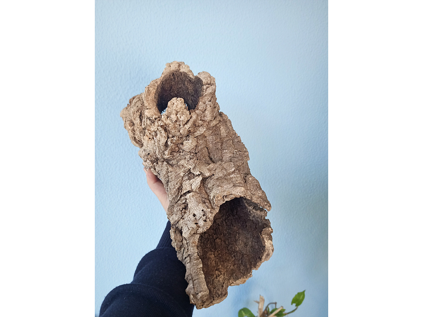 5x Cork Tubes (35x12x12cm) 4