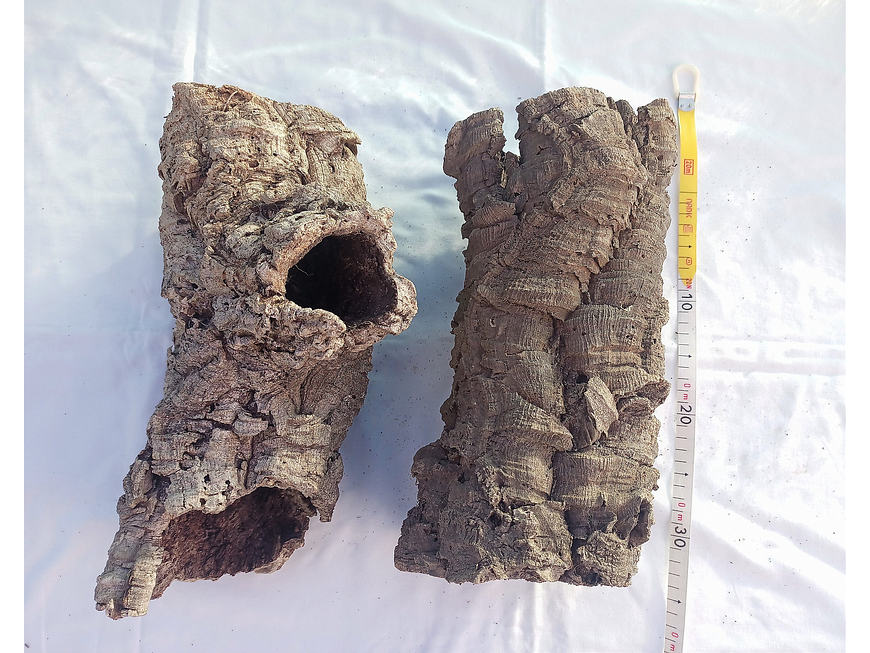 5x Cork Tubes (35x12x12cm) 6