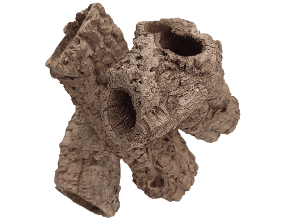 10 cork tubes - for vivarium, terrarium or decoration 2