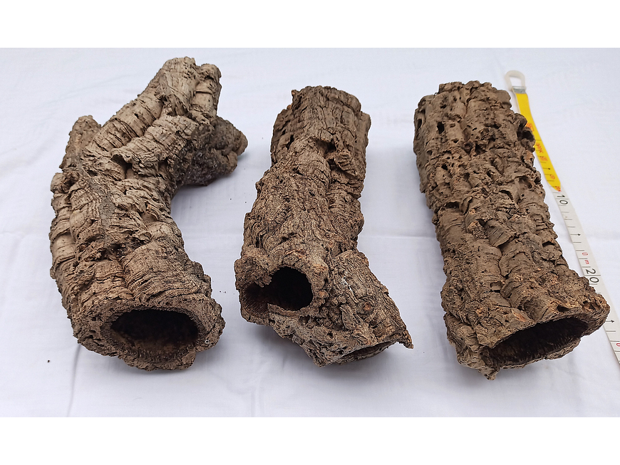 10 cork tubes - for vivarium, terrarium or decoration 1