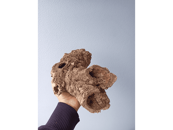 10 cork tubes - for vivarium, terrarium or decoration 3