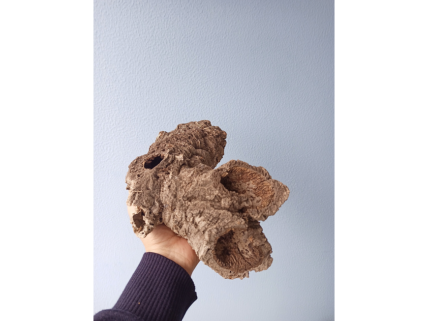 10 cork tubes - for vivarium, terrarium or decoration 3