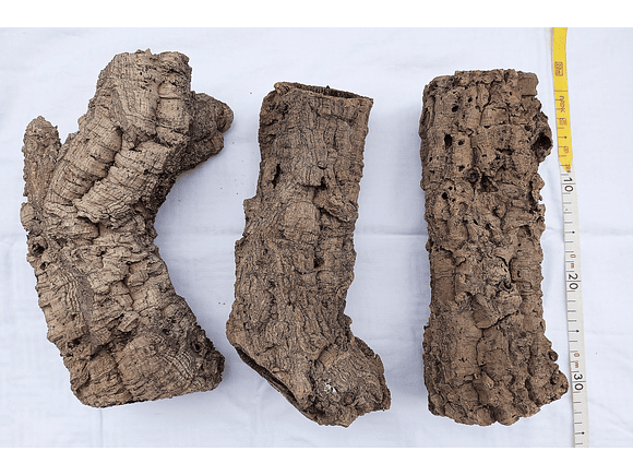 10 cork tubes - for vivarium, terrarium or decoration 5