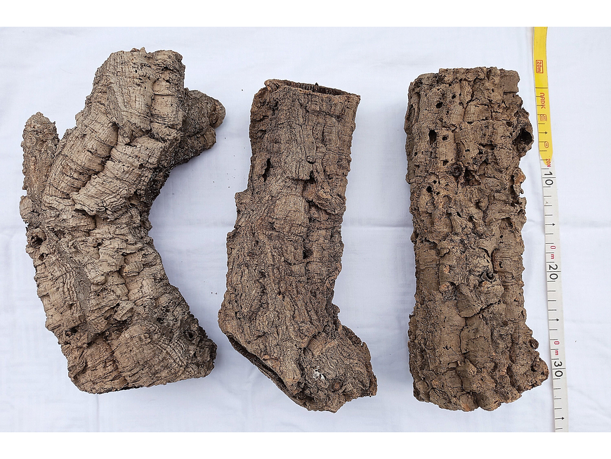 10 cork tubes - for vivarium, terrarium or decoration 5