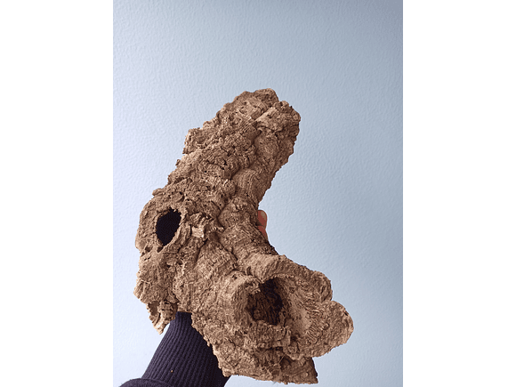 10 cork tubes - for vivarium, terrarium or decoration 6