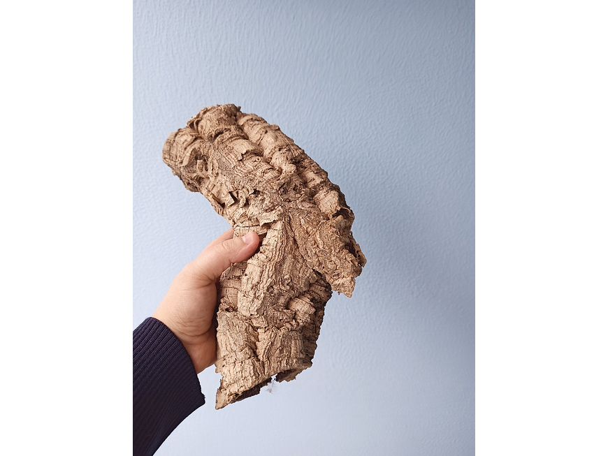 10 cork tubes - for vivarium, terrarium or decoration 7