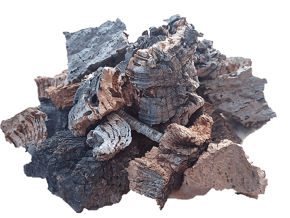 1.6kg - Pieces of Cork from Portugal, for Plants and Terrariums 2